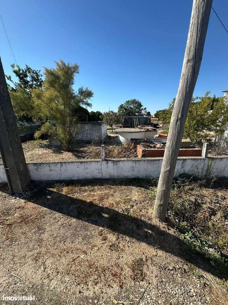 Quintinha com Moradia T2 em Foros Salvaterra-7