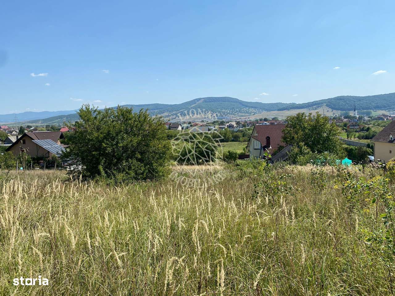 Teren intravilan 1300 mp-parcelabil-Viile cu Pomi-Unirea-Exclusiv - Imagine principală: 2/7