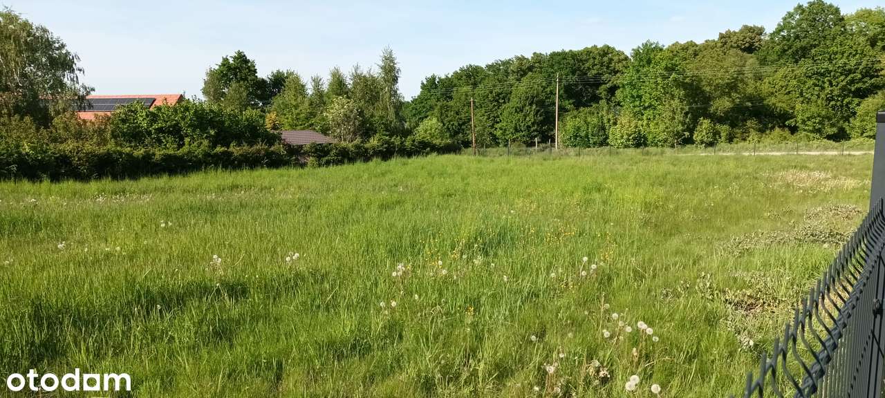 Działka zupełnie wyjątkowa - Pełny obrazek: 4/7