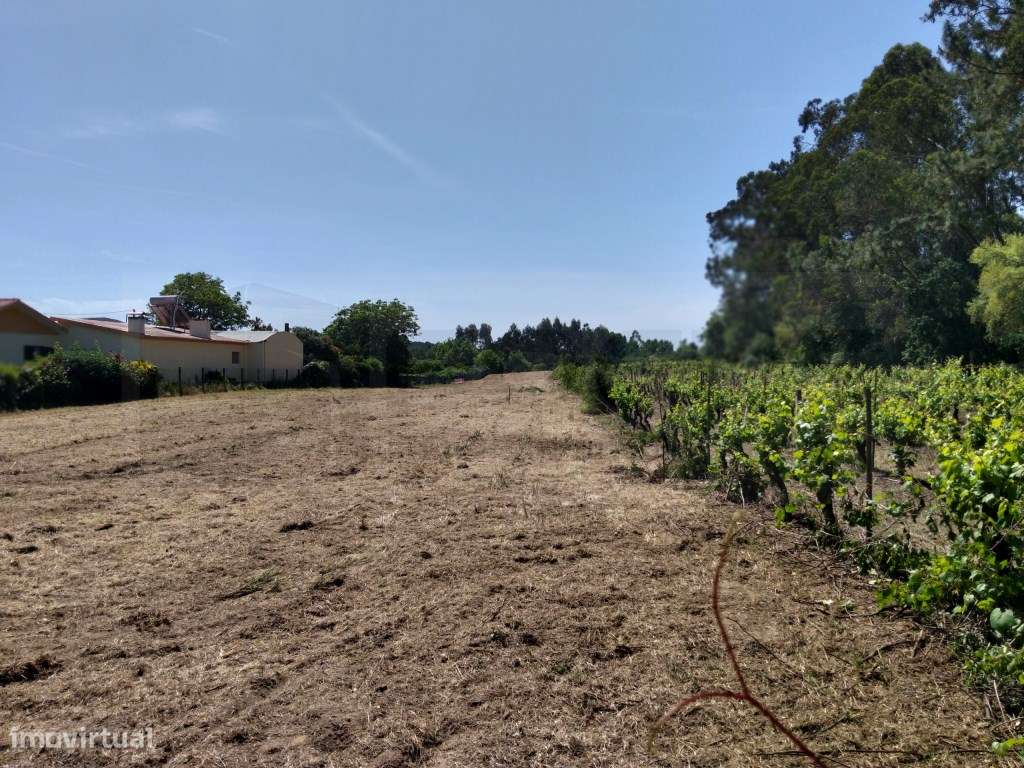 Terreno para construção de moradia - Troviscal-10