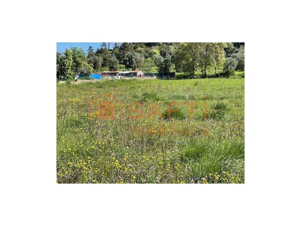 Terreno com 13080m2 rústico - Grande imagem: 4/14