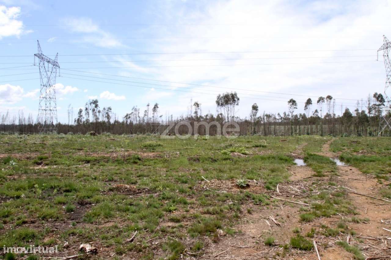 Terreno Florestal - Grande imagem: 5/17