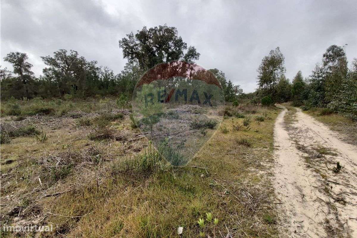 Terreno T0 para venda - Grande imagem: 4/5