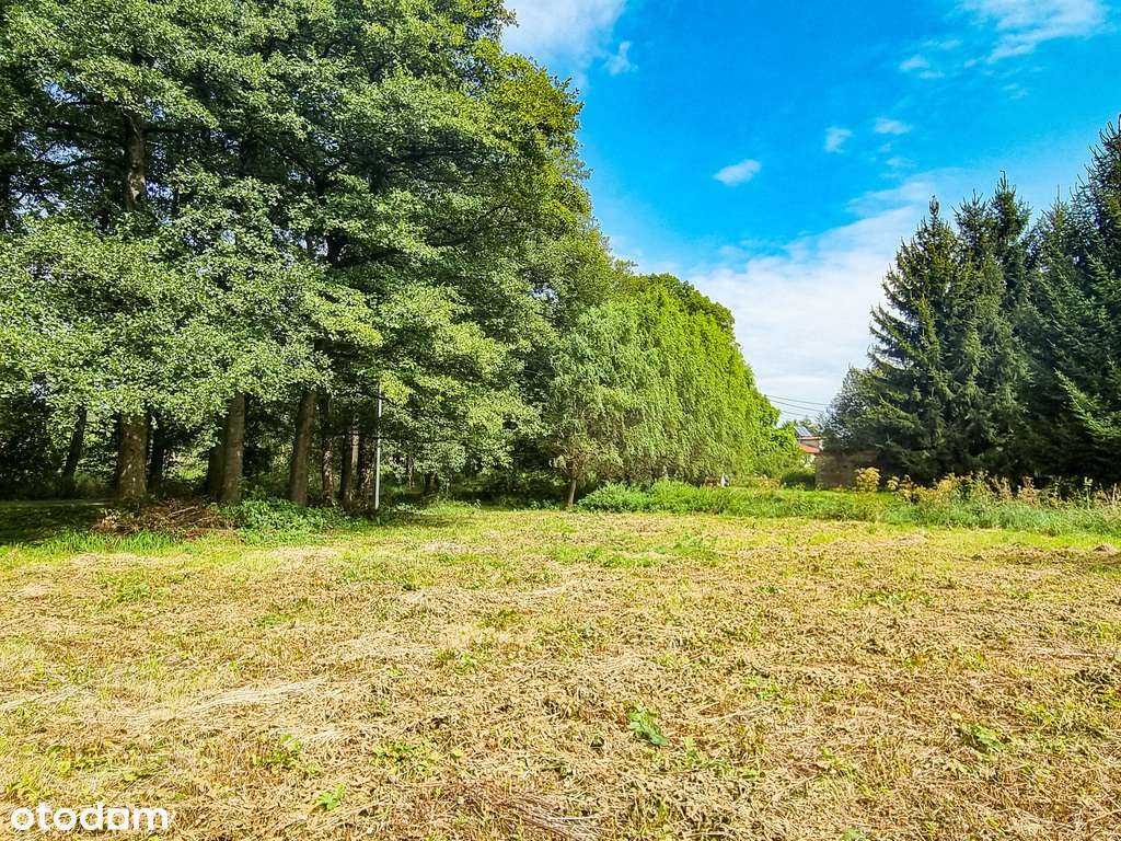 Zaciszna działka w Starym Wielisławiu-12