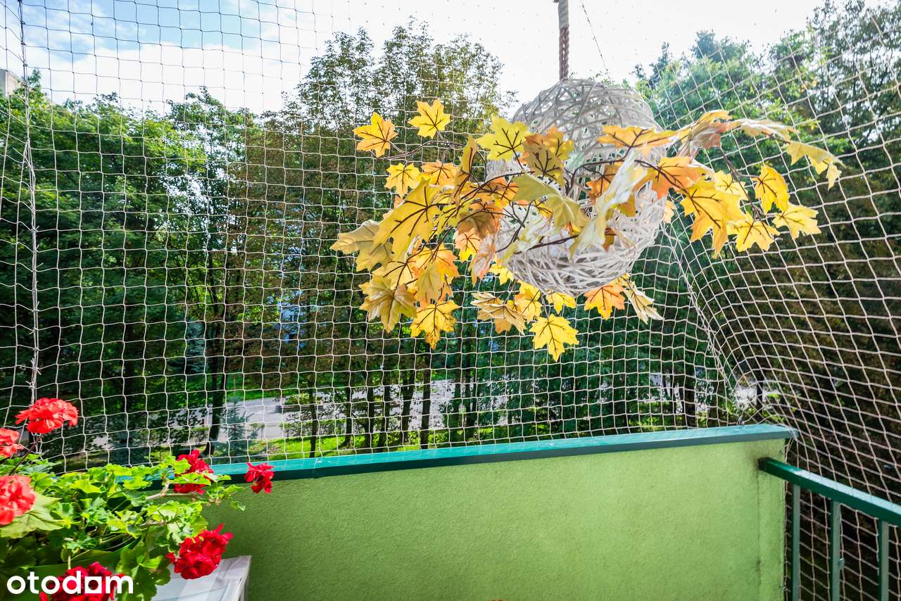 1 pokojowe | dobry standard | widok na zieleń-7