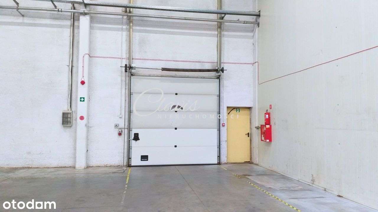 Magazyn z pomieszczeniem socjalnym na pograniczu P - Pełny obrazek: 4/6