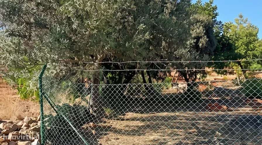 Terreno rústico plano com 4240 m2 no Algarve-12