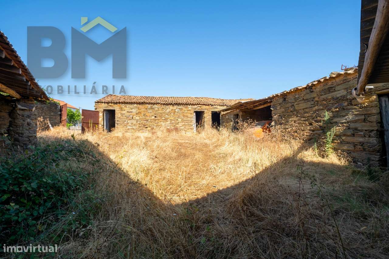Quintinha  Venda em Sarzedas,Castelo Branco-5