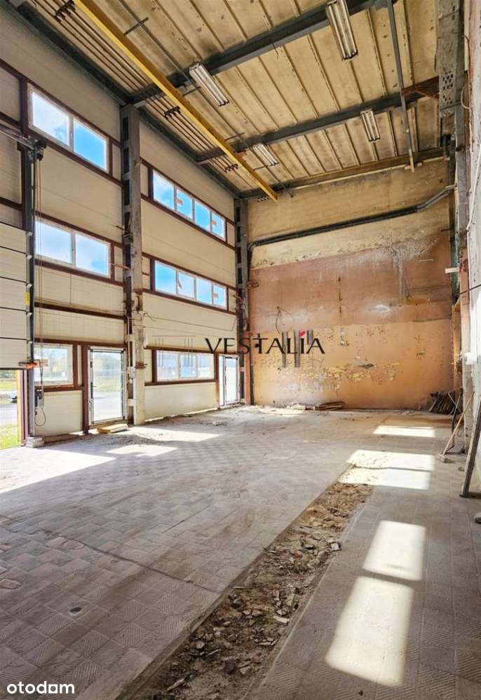 Hala Produkcyjno-Magazynowa Olkusz - Pełny obrazek: 5/11