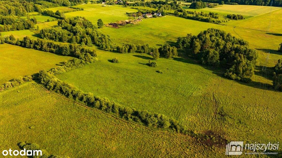 Godowo - gmina Maszewo - działka inwestycyjna - Pełny obrazek: 4/10