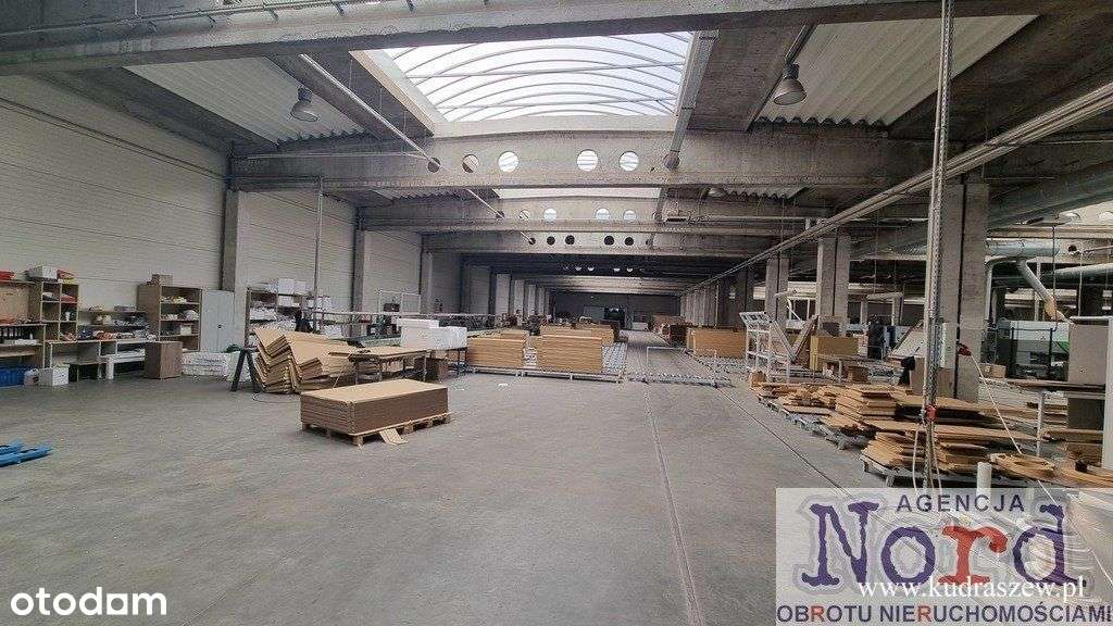 Elbląg, Nieruchomość Produkcyjno - Magazynowa-9
