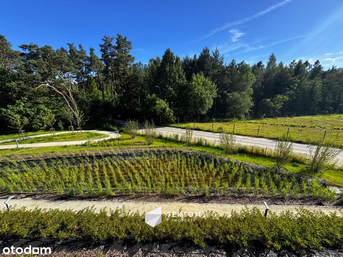 Słońce i las za oknem | Południowy zachód | Widok! - Pełny obrazek: 2/16