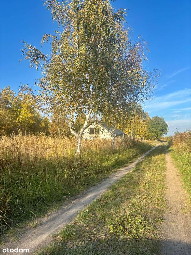 Działka budowlana Wyględy gm. Leszno-2