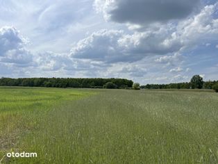 Działka (Rolna) - Wrocław Zakrzów