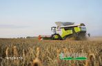 Claas 8800TT - 2