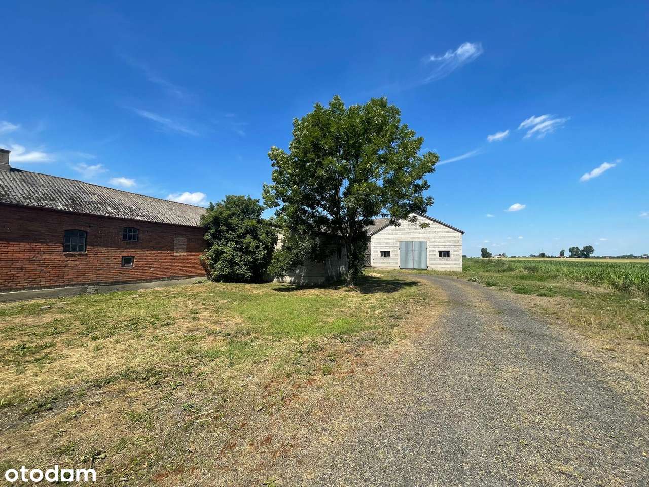 Gospodarstwo rolne/Malownicze siedlisko - Pełny obrazek: 4/15