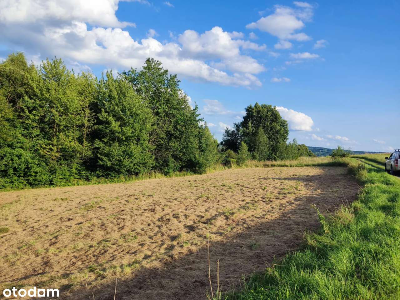 Brzezówka- Działka z Warunkami Zabudowy - Pełny obrazek: 4/5