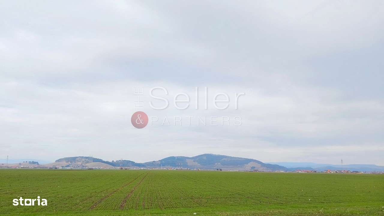 Teren Extravilan - Imagine principală: 3/6