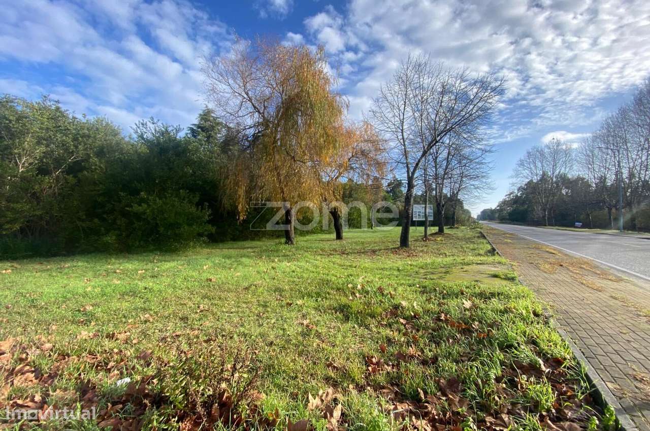 Lote urbano com excelente capacidade construtiva – 701 m² (Lote 1) - Grande imagem: 3/16