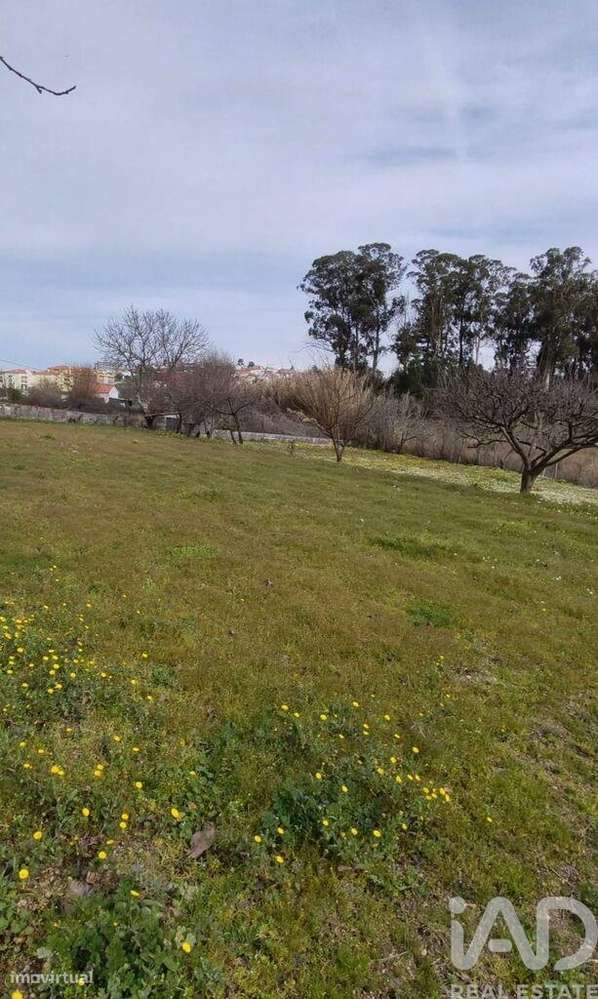 Quinta em Oliveira do Hospital e São Paio de Gramaços de 94,00 m2 - Grande imagem: 4/5