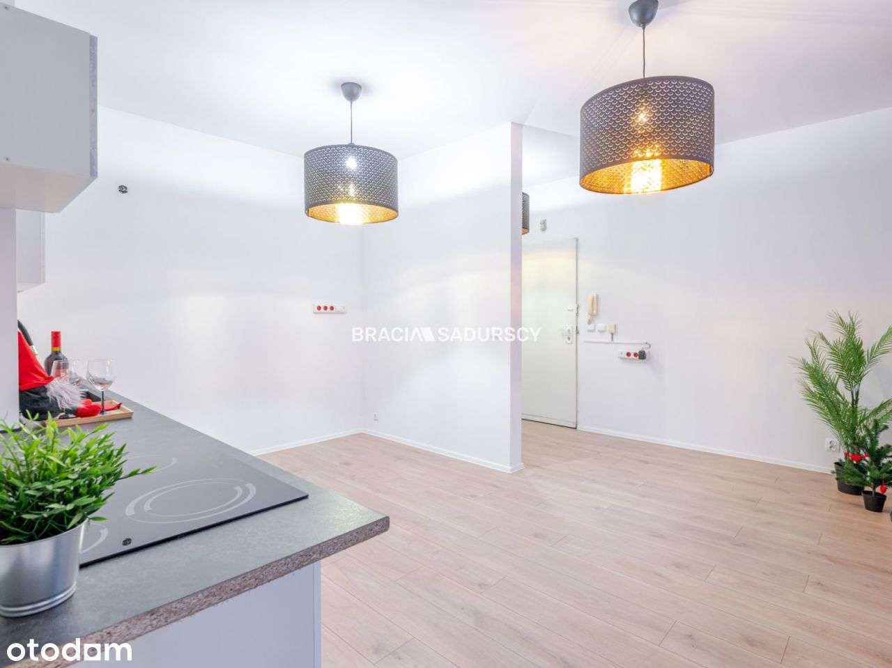 Bonowice, 2 pokoje mieszkanie lub gabinet-4