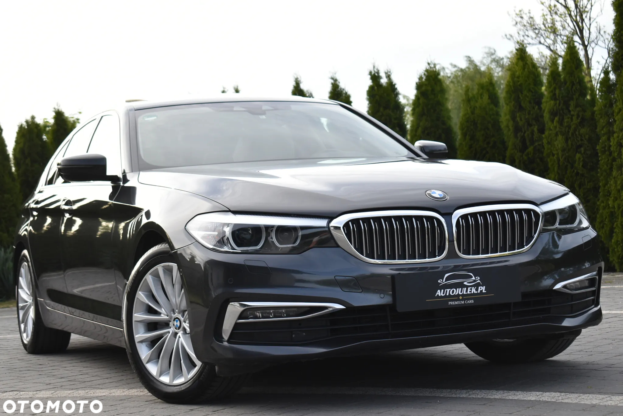 BMW Seria 5 520d xDrive Luxury Line - 18