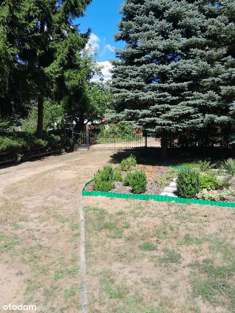 Łacha k. Serocka - dom 116m2 działka 1000m2-4