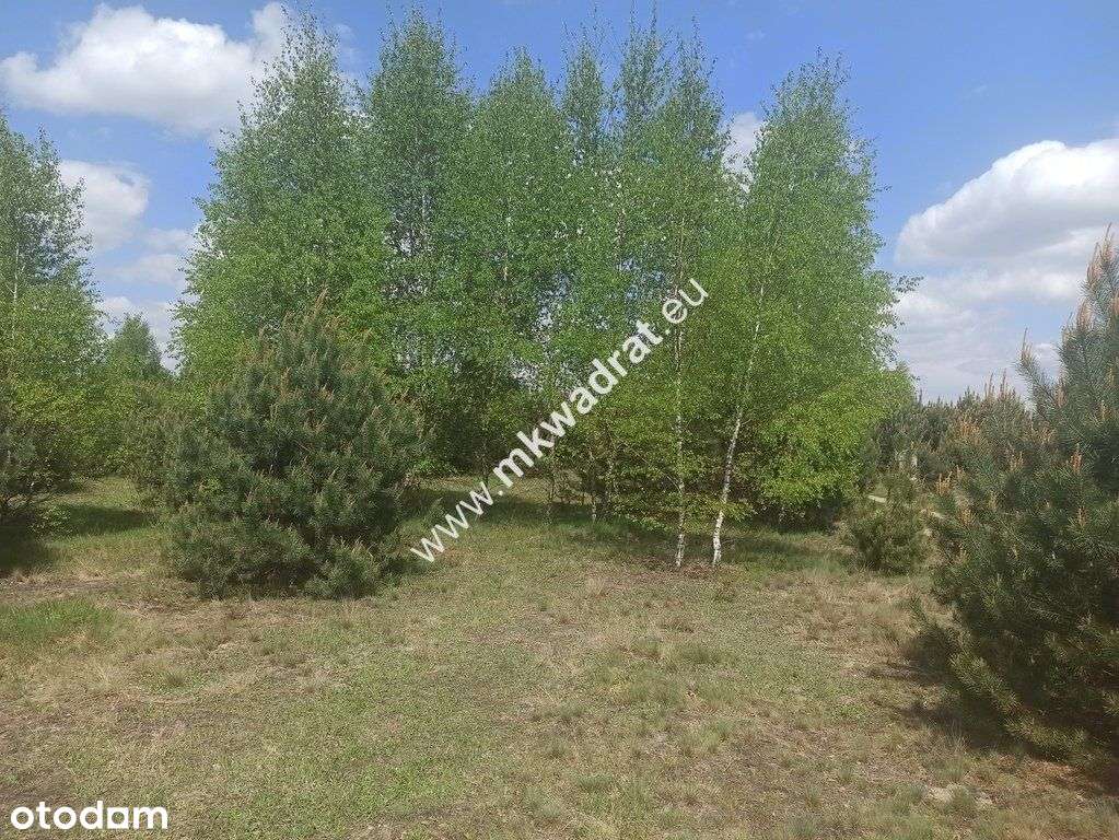 ⭐ ⭐ ⭐ ⭐ ⭐ Super działka 1200m2 Media Szkoła Mpzp!-2