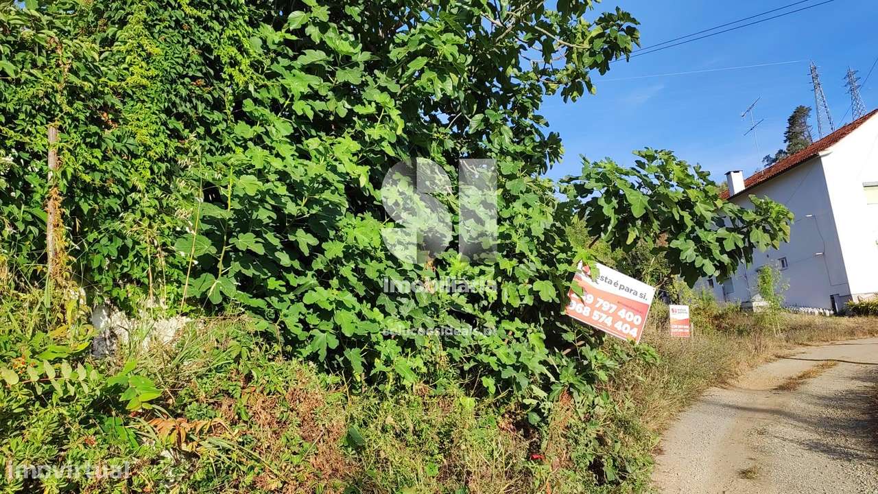 Terreno para construção - Copeira - Grande imagem: 2/18