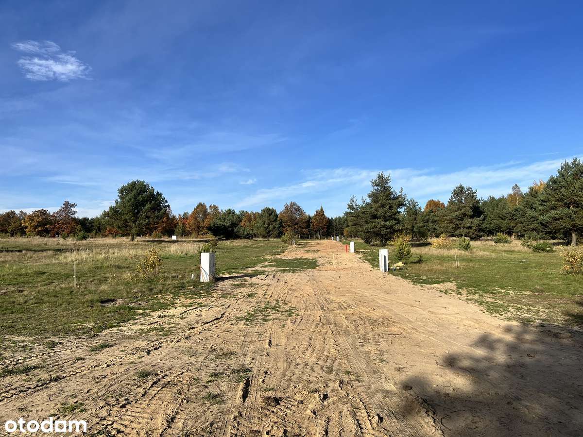 "LEŚNY ZAKĄTEK" - Olszyna koło Herb-6