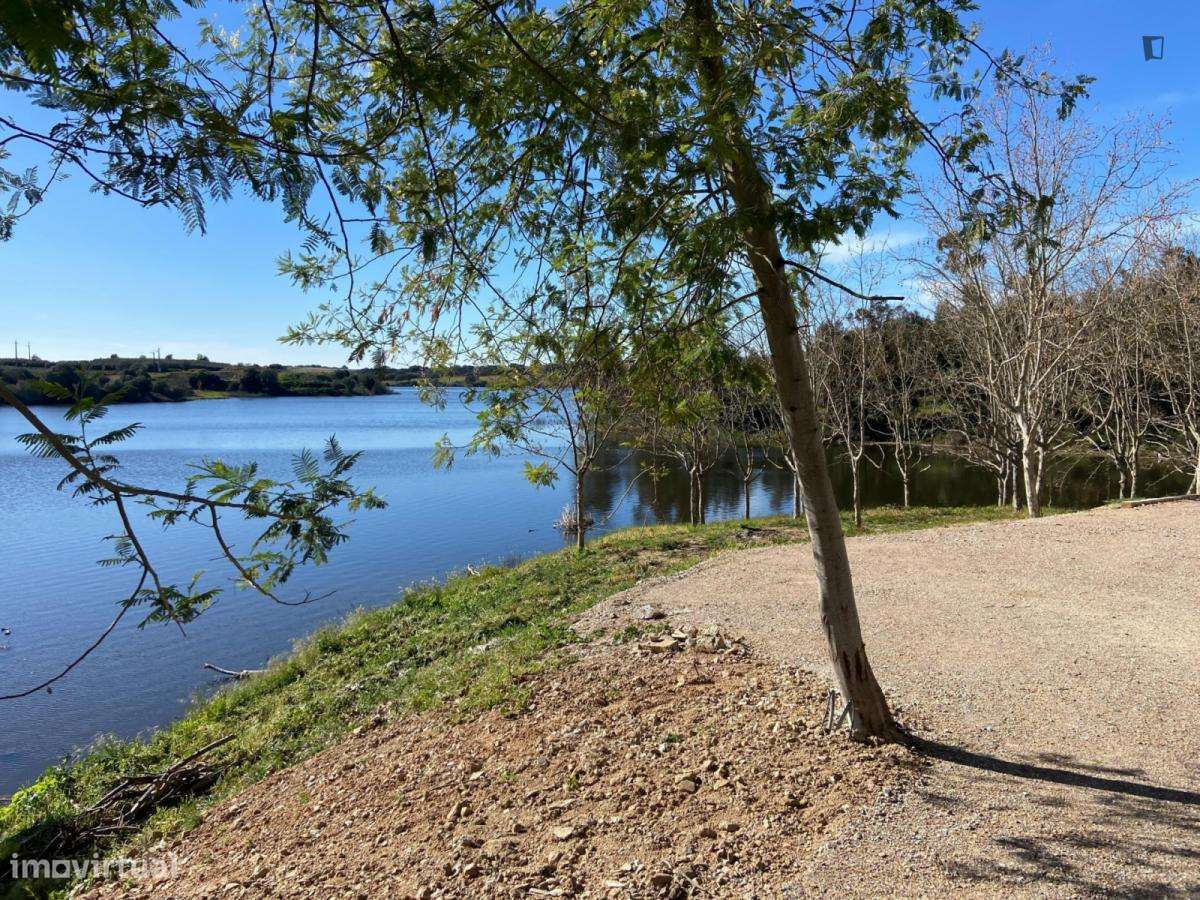 Apartamento com 3 quartos - localizado em Portalegre - Grande imagem: 2/10