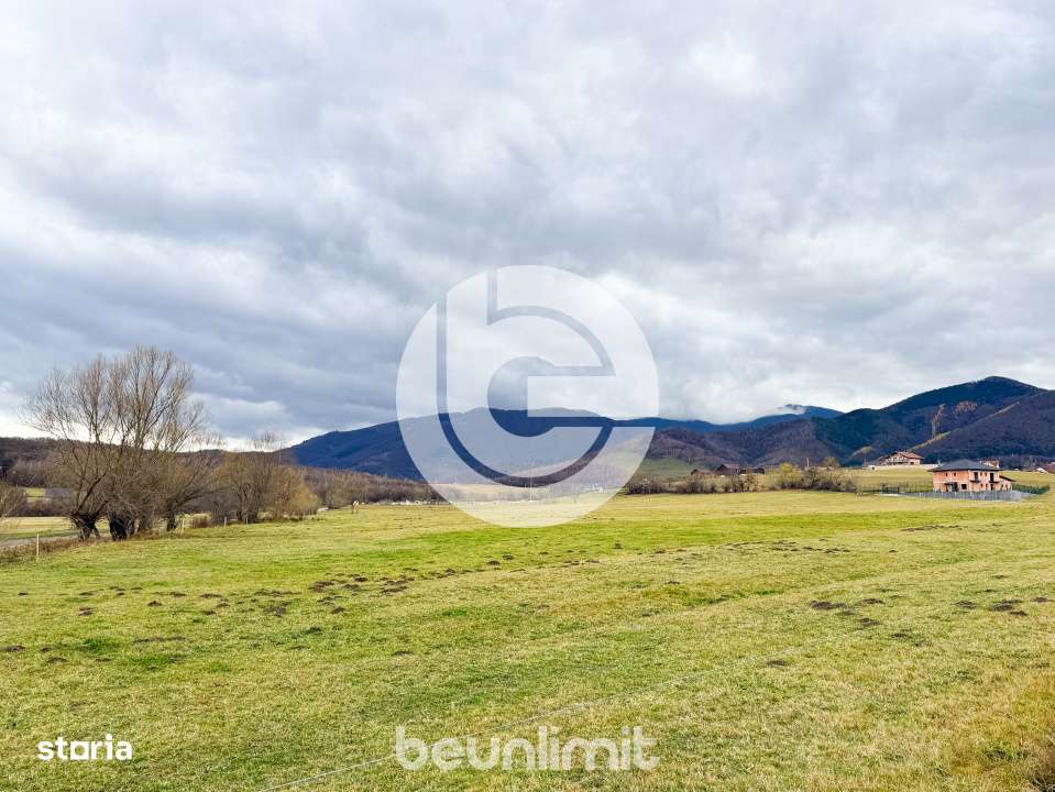 Teren intravilan in Tocile - 4354 m² - 2 fronturi - 49 euro/mp-11