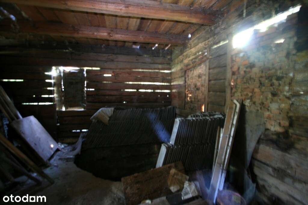 Niezbędna wyobraźnia, kasa i odrobina szaleństwa - Pełny obrazek: 5/9