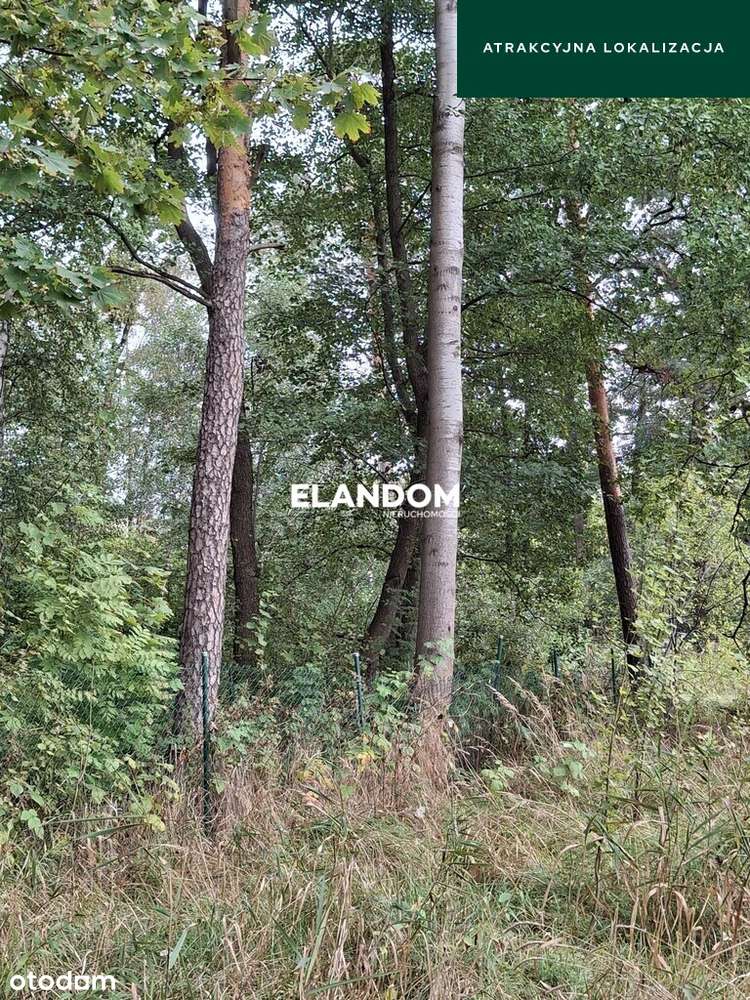 Duża działka z WZ Wiązowna Kościelna - Pełny obrazek: 4/6