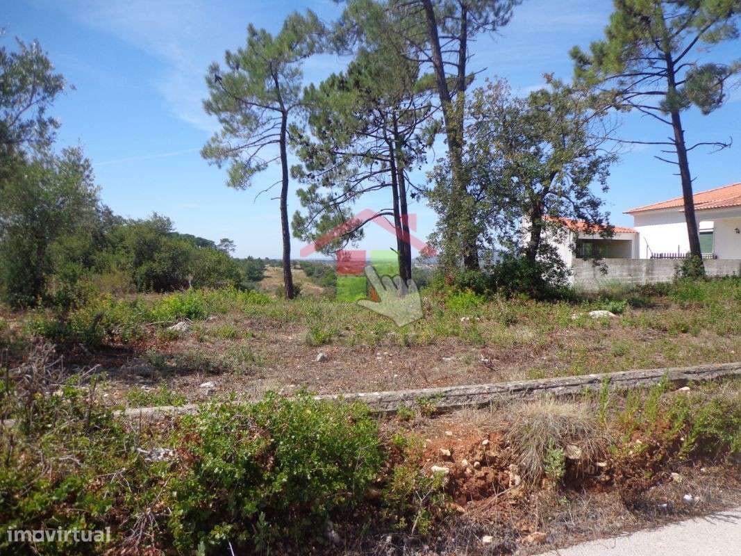 Terreno Rústico T0 Venda em Chancelaria,Torres Novas-4