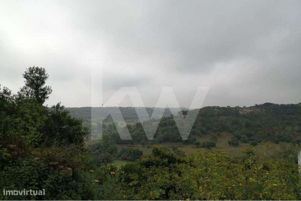 Almoster : Terreno Agrícola - Grande imagem: 5/8