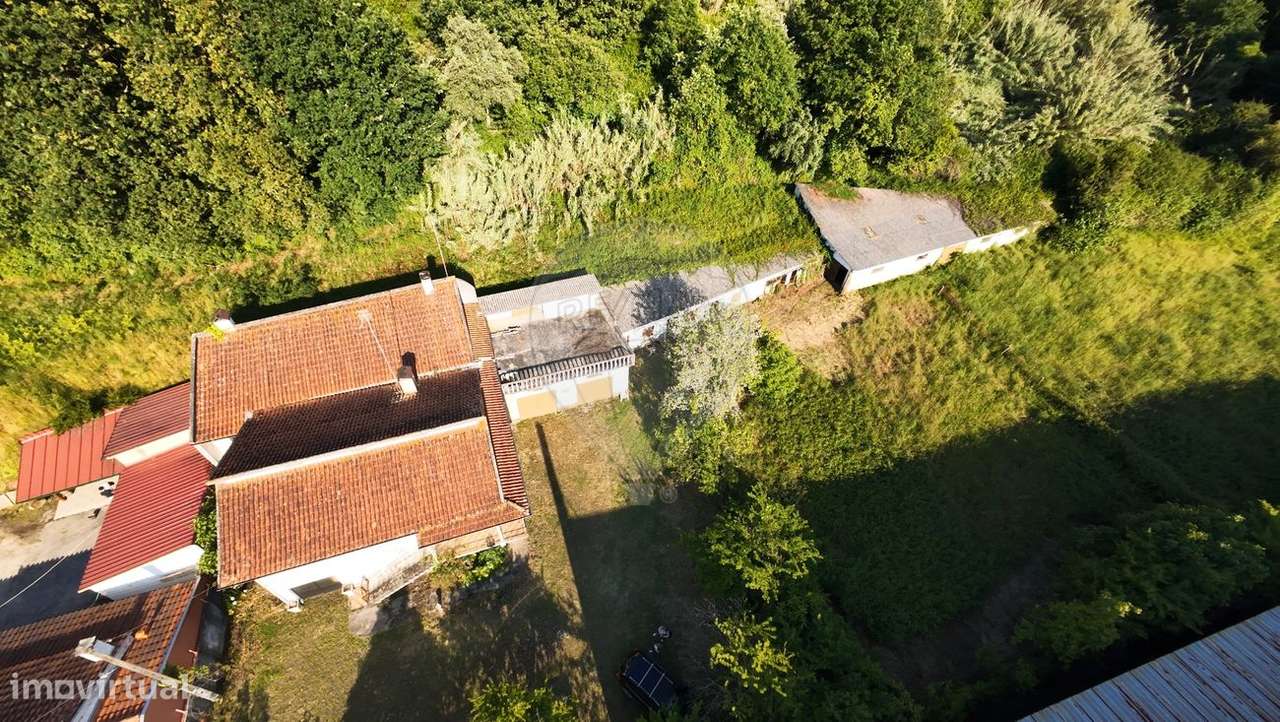 Quinta  para venda-14