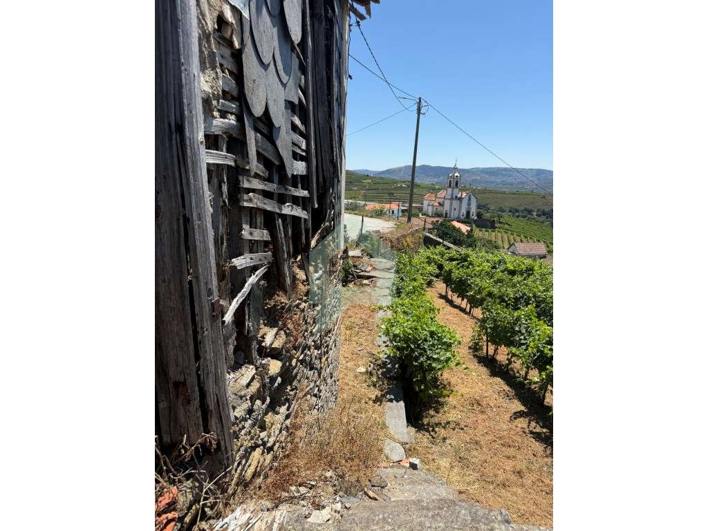 Casa de campo com projeto aprovado em Cidadelhe, Mesão Frio-18