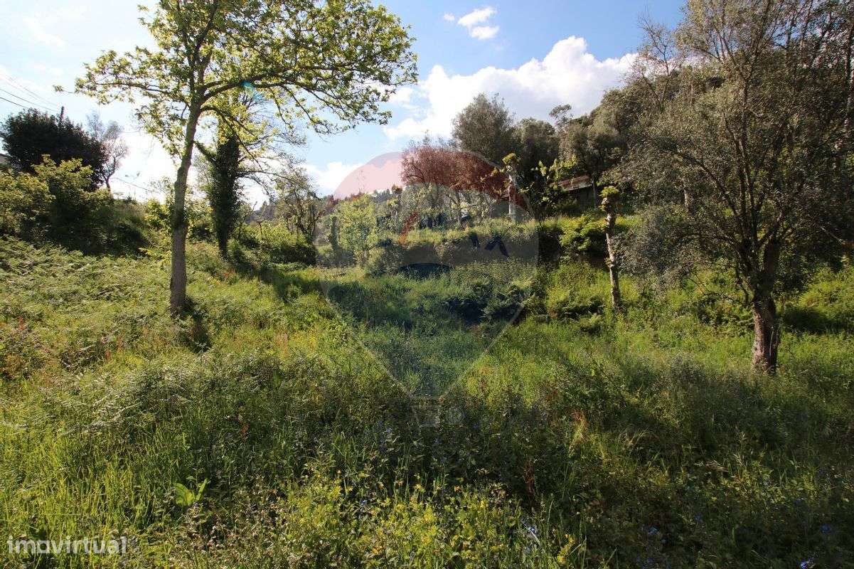 Terreno  para venda - Grande imagem: 4/6