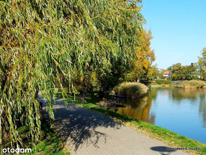 Premium osedle okolice Blue City-16