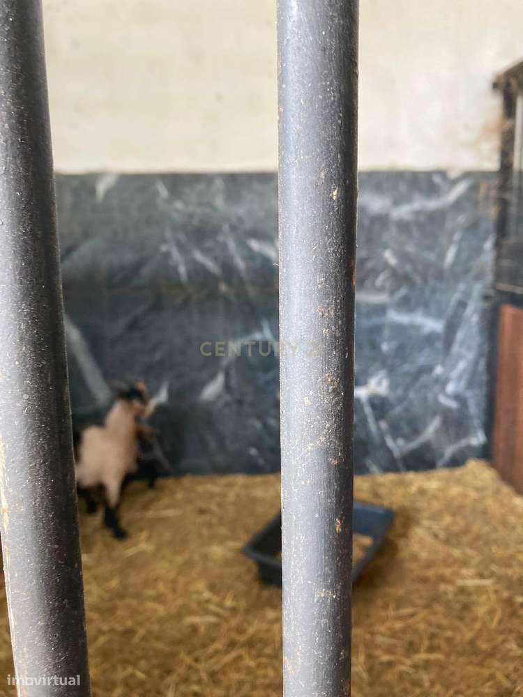 Herdade da Pedra Longa — Um Património Único no Coração do Alentejo-19