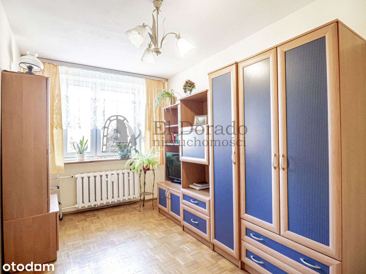 Przestronne mieszkanie z przepieknym balokem wśród-15
