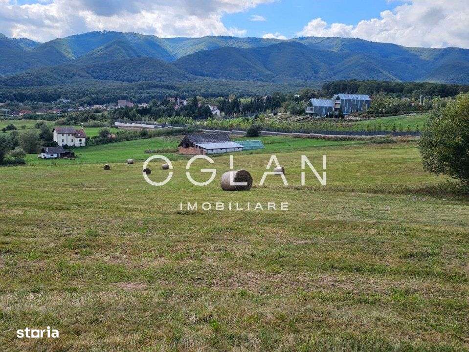 Teren Tocile (parcelabil) 3500 mp - Imagine principală: 4/19