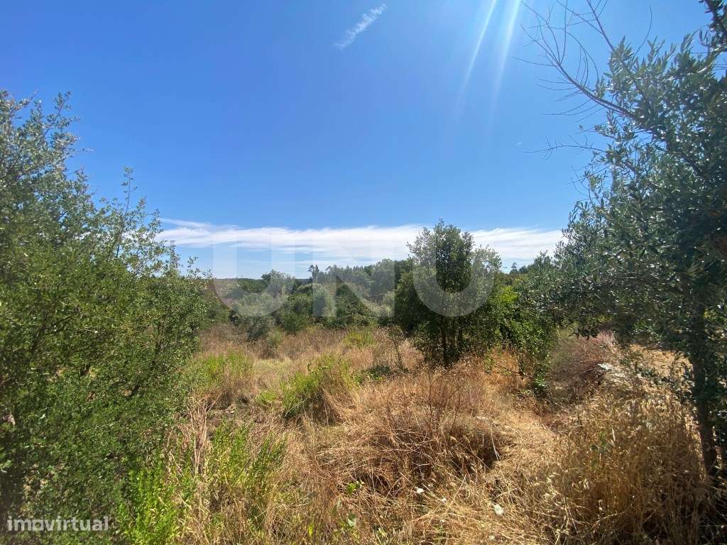 Terreno rústico com 1400m2 de área - Grande imagem: 2/3