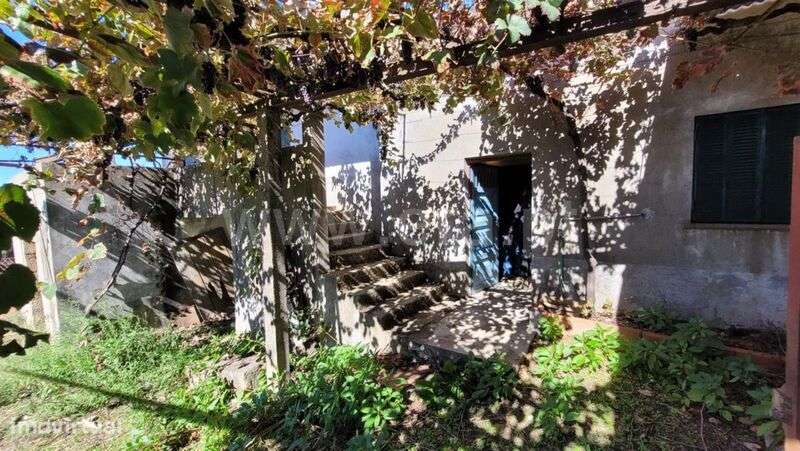 Quinta / Fundão, Enxames - Grande imagem: 4/20