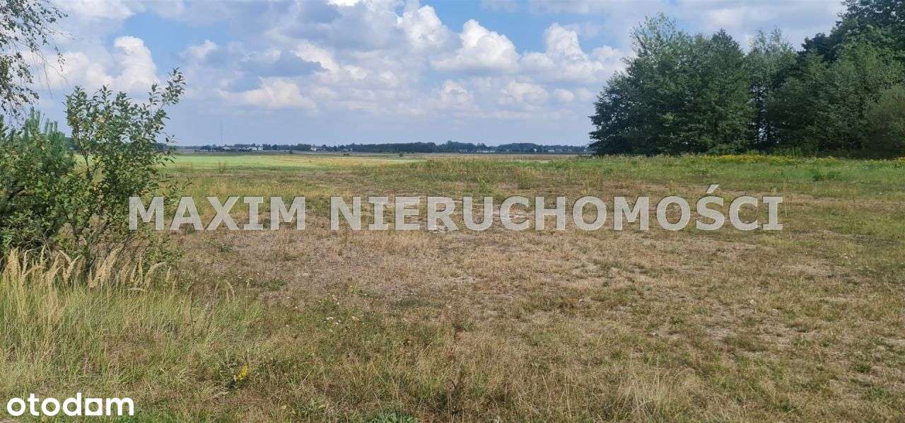 Działka pod inwest Dalanówek pow 2,5 Ha - Pełny obrazek: 5/6