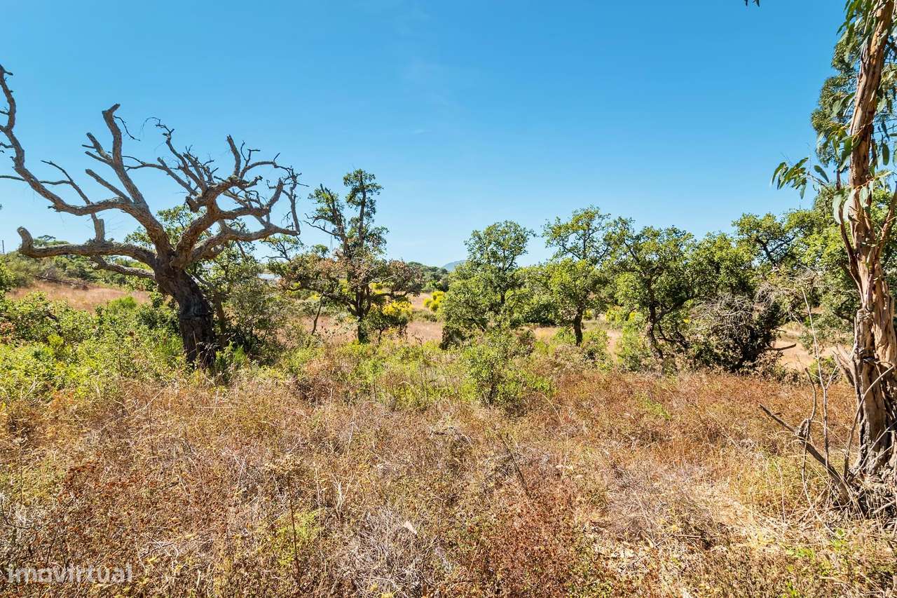 Terreno urbano em São Sebastião (Setúbal) com 17000m2-28