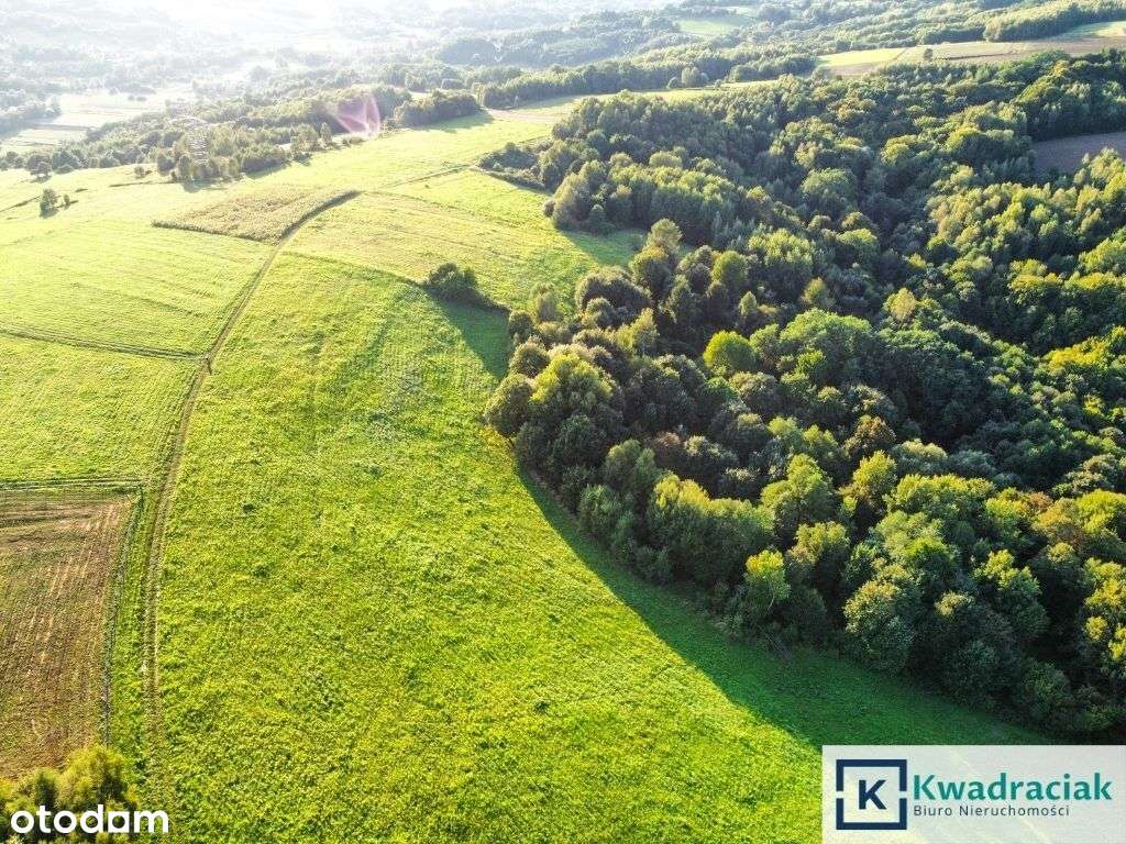 Działka w Lutczy idealna pod Inwestycję – 4,48 ha-7