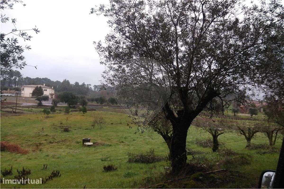 Terreno agrícola em Soucide - Grande imagem: 2/4
