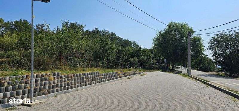 Teren Intravilan Sandulesti - Imagine principală: 3/4